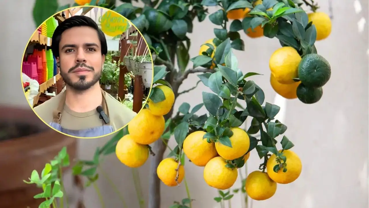Eduardo Lefort y limonero