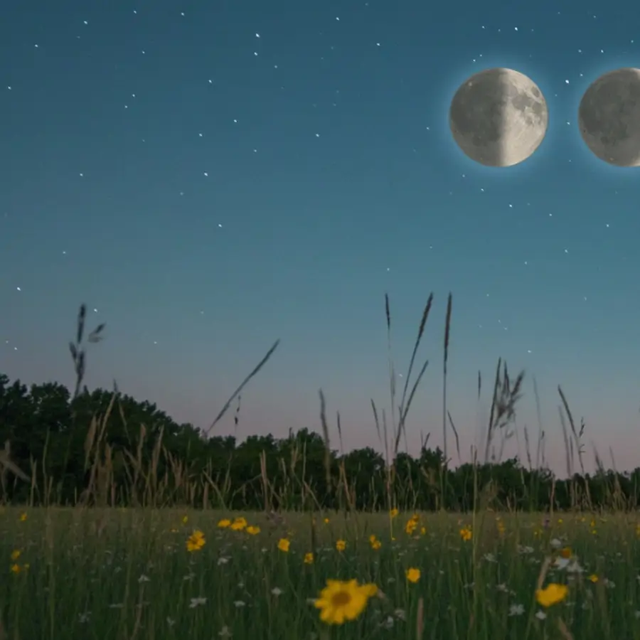 Luna hoy, miércoles 18 de junio: "Soltar es también una forma de renacer"
