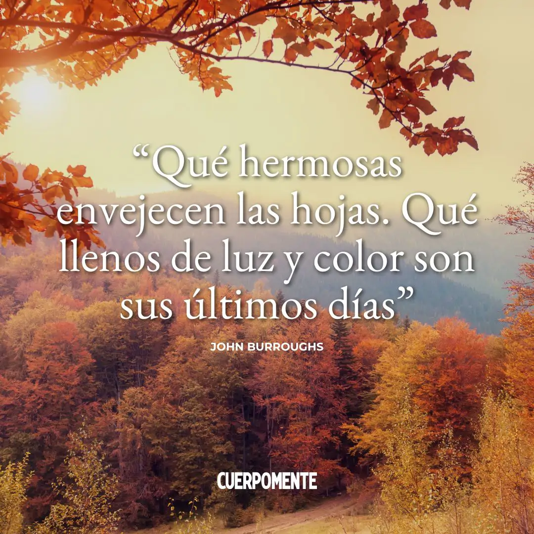30 frases motivadoras de otoño para encarar la nueva estación con alegría, image size:1080x1080