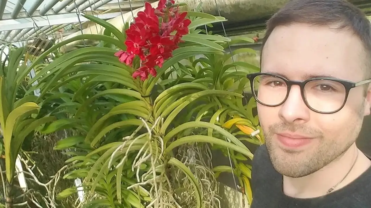 Christopher Stach, experto en diagnóstico de plantas: "Cuando a tus ...