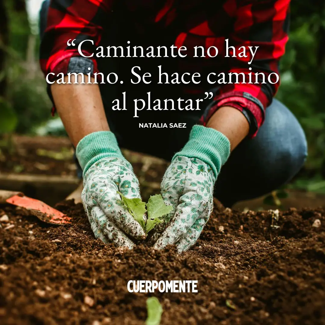 Romanos 8:6 Por lo tanto, permitir que la naturaleza pecaminosa les  controle la mente lleva a la muerte. Pero permitir que el Espíritu les  controle la mente lleva a la vida y a, image size:1080x1080