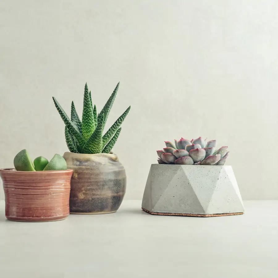 maceteros-caseros-originales-7-ideas-para-hacerlos-con-materiales