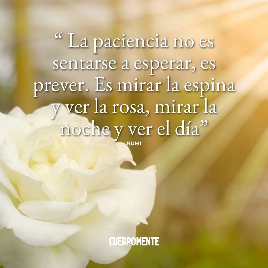 Las 100 Mejores Frases Sobre La Paciencia Paciencia Frases Paciencia