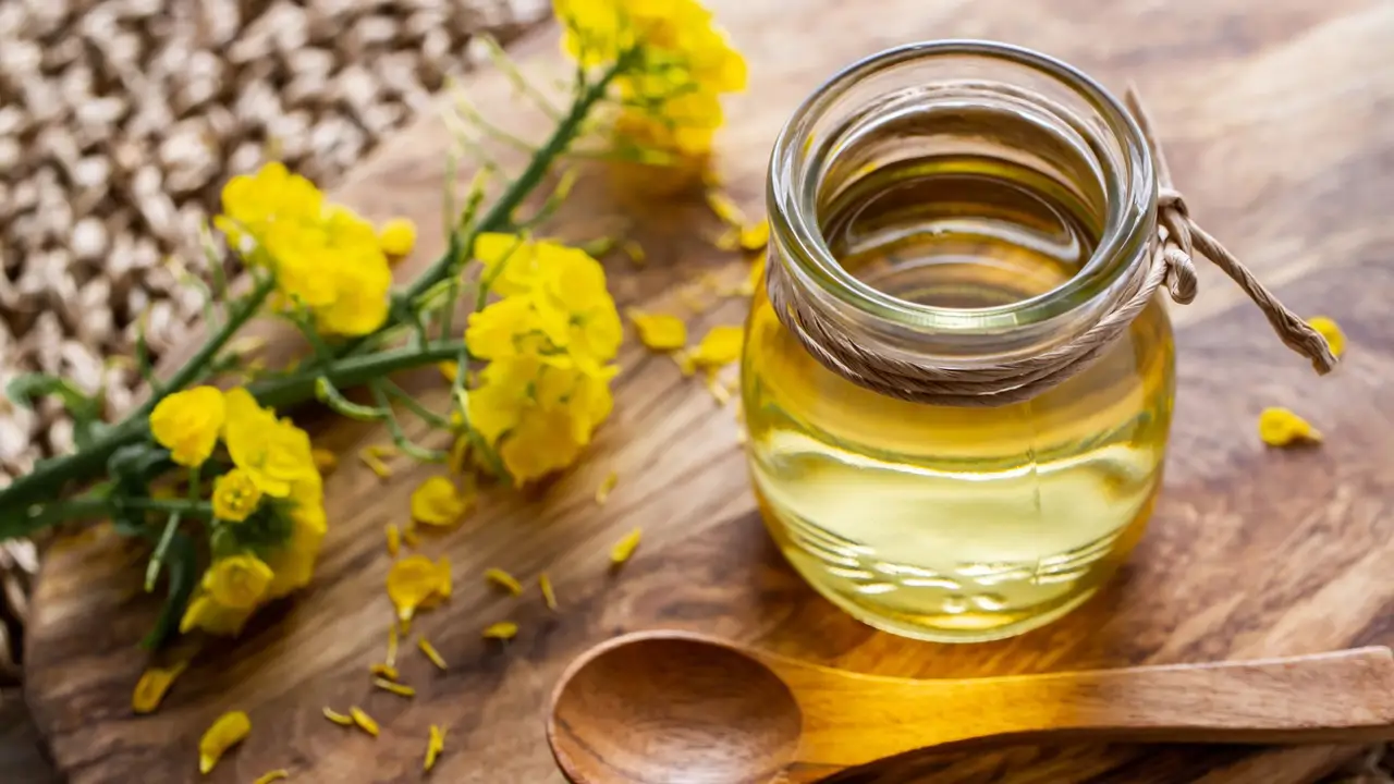 Aceite de canola: qué es, propiedades y por qué apenas se conoce en España