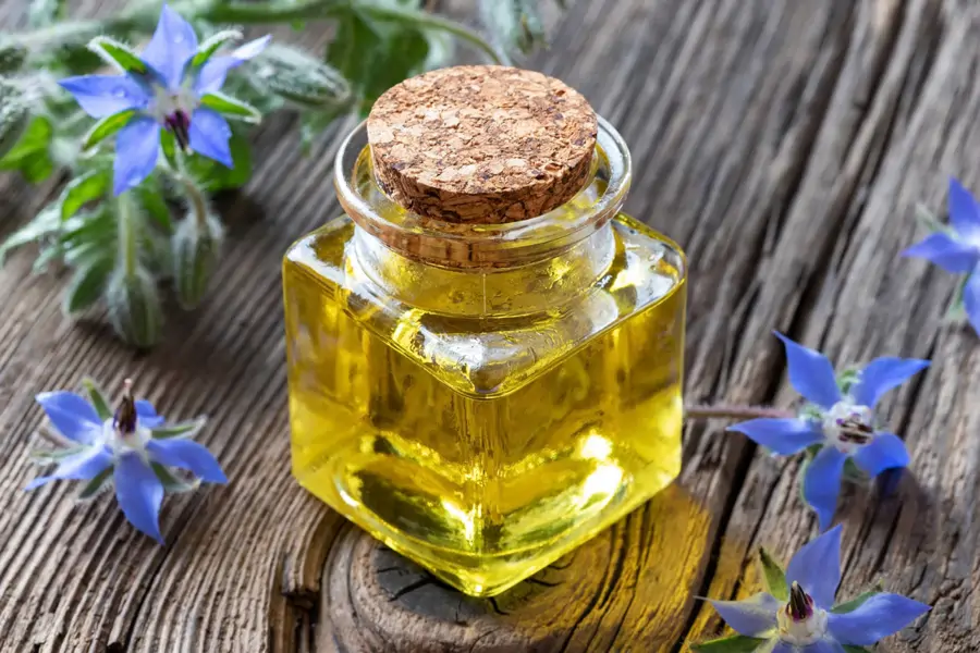 aceite borraja propiedades