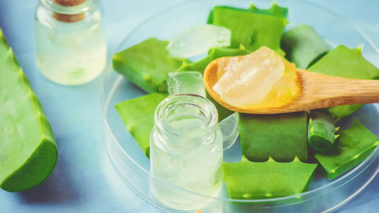 Cmo dar volumen al cabello fino con el truco del aloe de una experta en  dermocosmtica