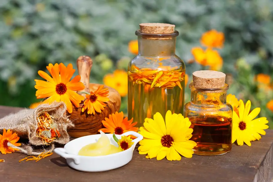 Aceite de caléndula